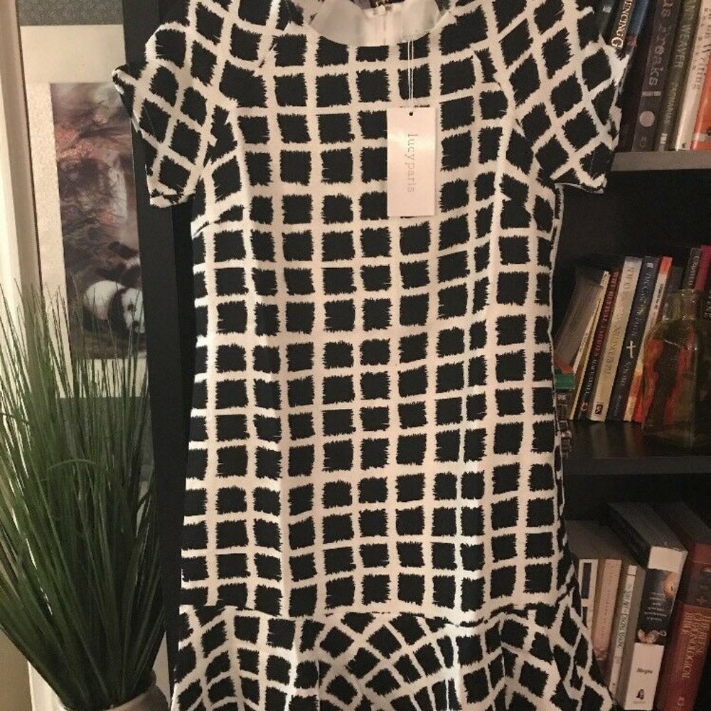 Anthropologie Lucy Paris Dress Ruffled Hem Size S
